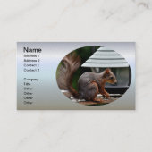 バードフィーダーでのリス 名刺 (正面)