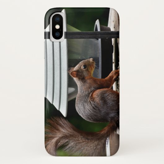 バードフィーダーでのリス Case-Mate iPhoneケース (裏面)