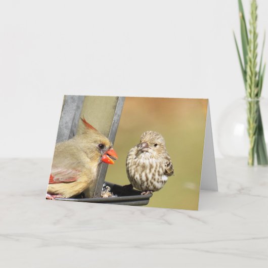 バードフィーダーでの昼食 カード (正面)