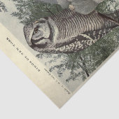 バードフイルズエフエメラデクページヴィンテージ 薄葉紙 (詳細)