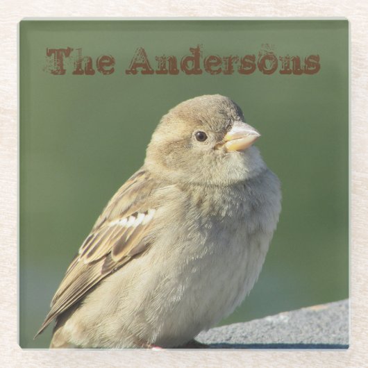 バードフォトファミリー名ブラウンハウススパロー ガラスコースター (正面)