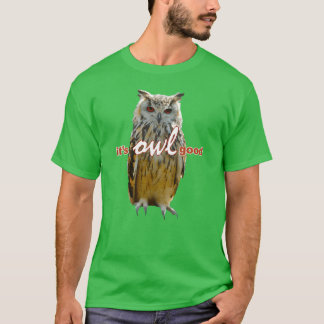 バードフールズミームヴィンテージ友 Tシャツ