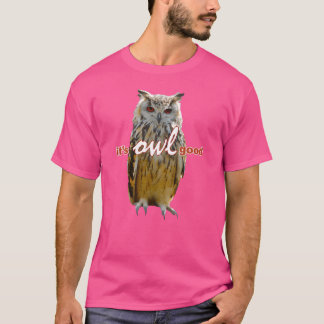 バードフールズミームヴィンテージ友 Tシャツ