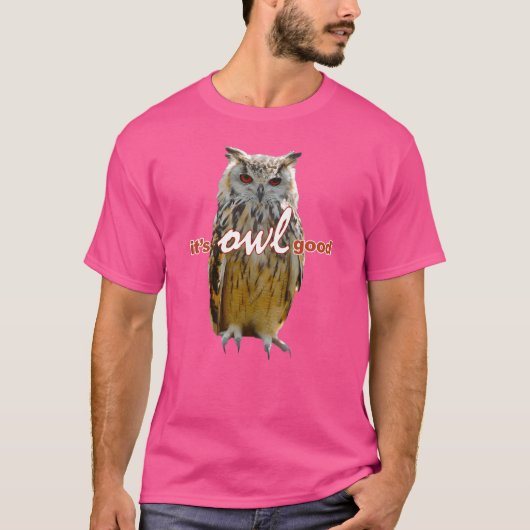 バードフールズミームヴィンテージ友 Tシャツ (正面)