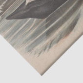 バードブラックスワンEPHEMERAデコページ 薄葉紙 (詳細)