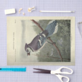 バードブルージェイEphemera Decompageヴィンテージ 薄葉紙 (クラフト)