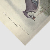 バードブルージェイEphemera Decompageヴィンテージ 薄葉紙 (詳細)