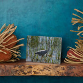 バードブルー素晴らしヘロンの写真 フォトプラーク (側面)