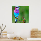 バードブルー ポスター (キッチン)