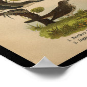 バードプリントイエローシュリークチャットヴィンテージ ポスター (角)