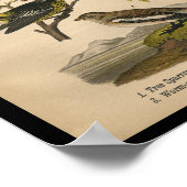 バードプリントツリースパローワーブラーヴィンテージ ポスター (角)