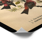 バードプリントパイングローズビーチレッドブラックヴィンテージ ポスター (角)