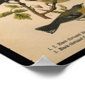 バードプリントブラックグリーンブルーウォーブラーヴィンテージ ポスター (角)