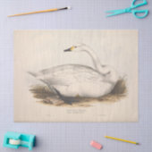 バードホワイトスワンエフエメラデクページヴィンテージ 薄葉紙 (クラフト)