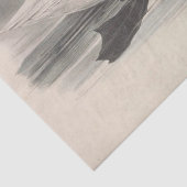 バードホワイトスワンエフエメラデクページ 薄葉紙 (詳細)