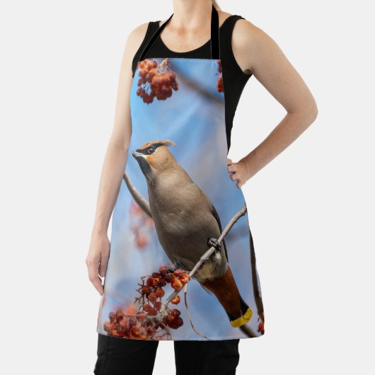 バードボヘミアン威厳のあるワクウィング エプロン (インサイチュ)