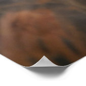 バードポスター13 ポスター (角)