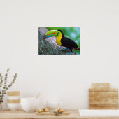 バードポスター16 ポスター (キッチン)