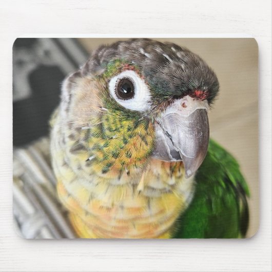 バードマウスパッドとデスクマット マウスパッド (正面)