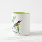 バードマグカップ ツートーンマグカップ (中央)