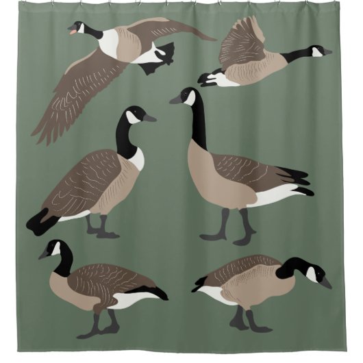 バードラバーズカナダゲーゼイラストレーションセージグリーン シャワーカーテン (正面)