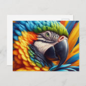 バードラバーマコーオウム ポストカード (正面/裏面)