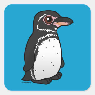 バードラブルガラパゴスペンギン スクエアシール