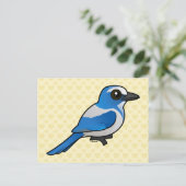 バードラブルフロリダスクラブ – ジェイ ポストカード (スタンド正面)