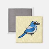 バードラブルフロリダスクラブ – ジェイ マグネット (正面/裏面)