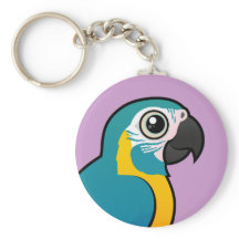 バードラブルブルーの喉を持つマカオ