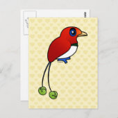 バードラブル王バードオブパラダイス ポストカード (正面/裏面)