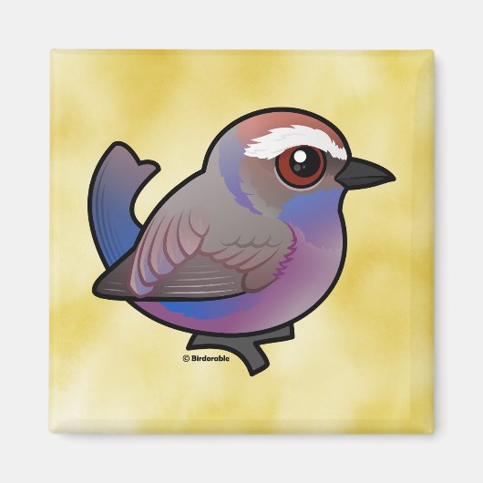 バードラブル白い茶色のチットワラー マグネット (正面)