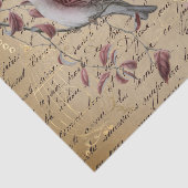 バードレッドピンクデカッペヴィンテージエフェメラ 薄葉紙 (詳細)