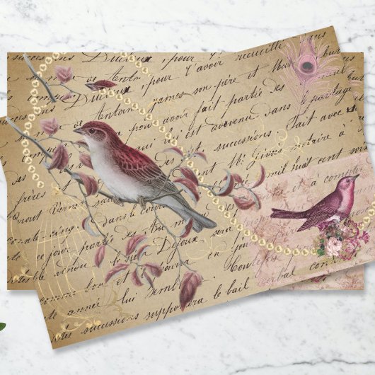 バードレッドピンクデカッペヴィンテージエフェメラ 薄葉紙