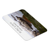 バードロックポイントロボス州予約 マグネット (右側)