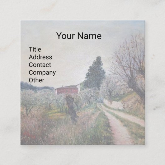 バーナリーズ最古の春/トスカーナの風景 スクエア名刺 (正面)
