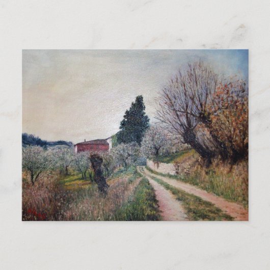 バーナリーズ最古の春/トスカーナの風景 ポストカード (正面)