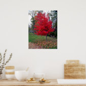 バーニングブッシュのポスター ポスター (キッチン)