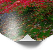 バーニングブッシュ フォトプリント            (角)