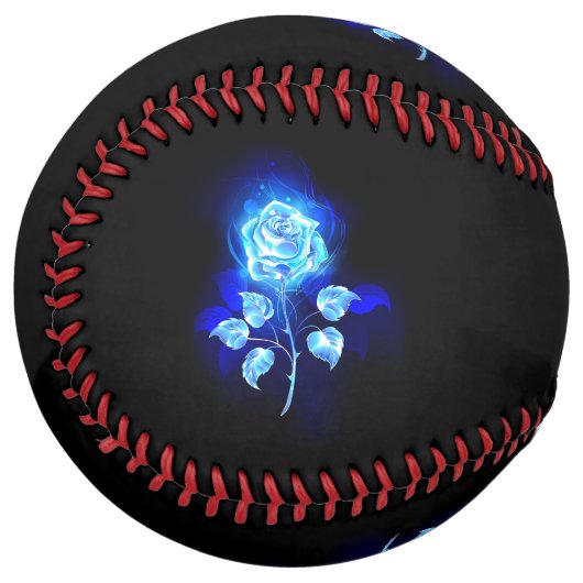 バーニングブルーバラ ソフトボール (正面左)