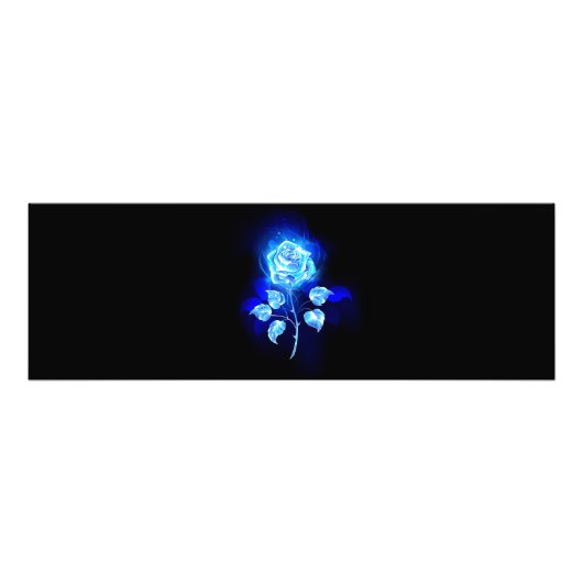 バーニングブルーバラ フォトプリント            (正面)