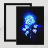 バーニングブルーバラ 案内状 (正面/裏面)