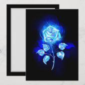 バーニングブルーバラ 案内状 (正面/裏面)