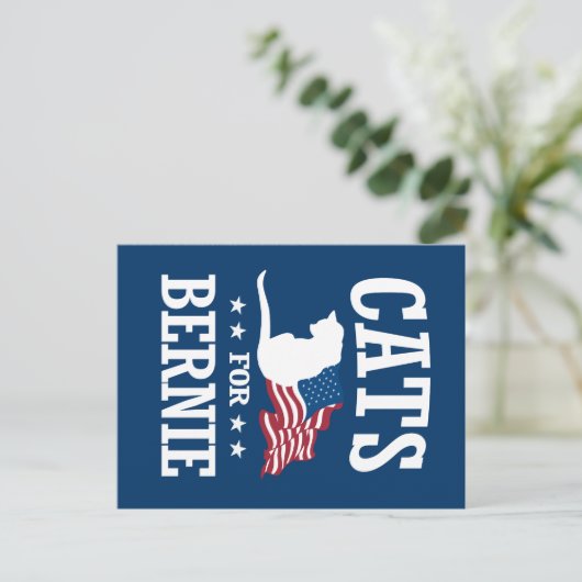 バーニーサンダー用の猫 ポストカード (スタンド正面)