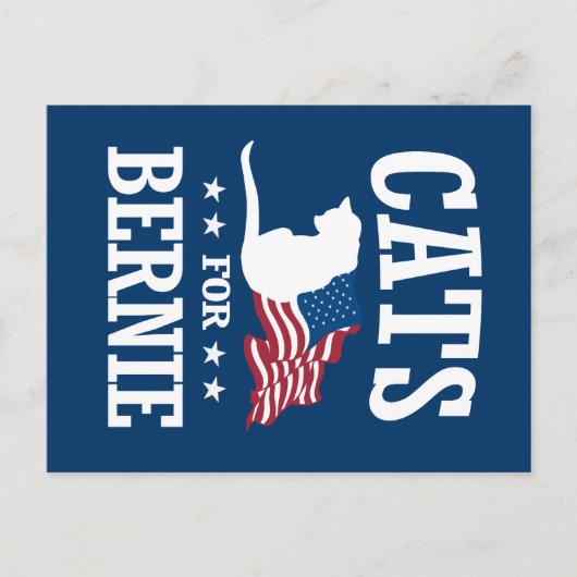 バーニーサンダー用の猫 ポストカード (正面)