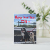 バーニーズマウンテンドッグとワイルドミックスドッグ　年賀状　2018年　戌年 シーズンポストカード (スタンド正面)