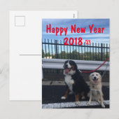 バーニーズマウンテンドッグとワイルドミックスドッグ　年賀状　2018年　戌年 シーズンポストカード (正面/裏面)