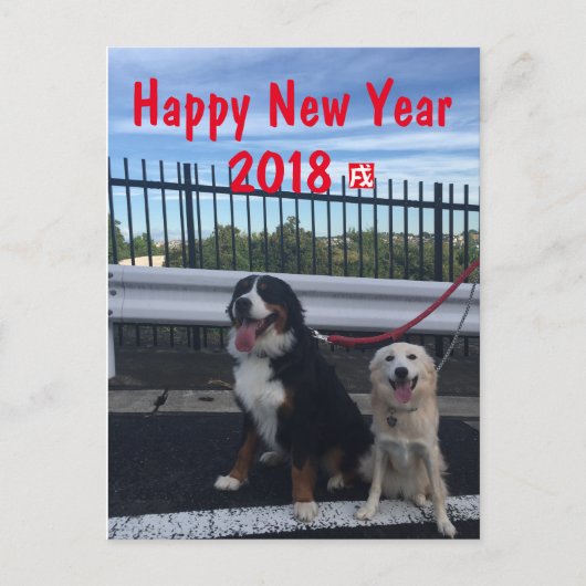 バーニーズマウンテンドッグとワイルドミックスドッグ　年賀状　2018年　戌年 シーズンポストカード (正面)