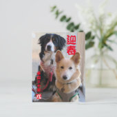 バーニーズマウンテンドッグとワイルドミックスドッグ　年賀状　2018年　戌年 ポストカード (スタンド正面)