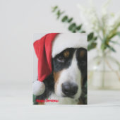 バーニーズマウンテンドッグ クリスマスカード シーズンポストカード (スタンド正面)